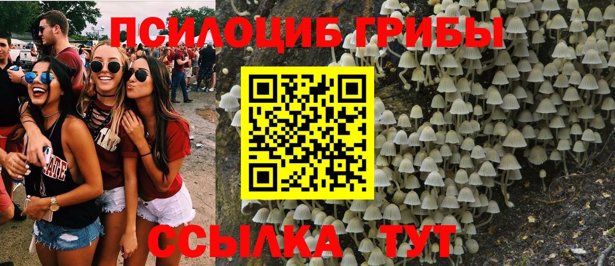 Галлюциногенные грибы Magic Shrooms  Вход с VPN  Рыбинск 
